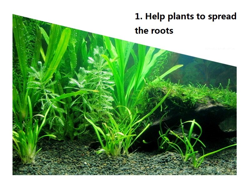 Plant Growth Substrate Additives Plant Tank Bacteria Clear Aquarium