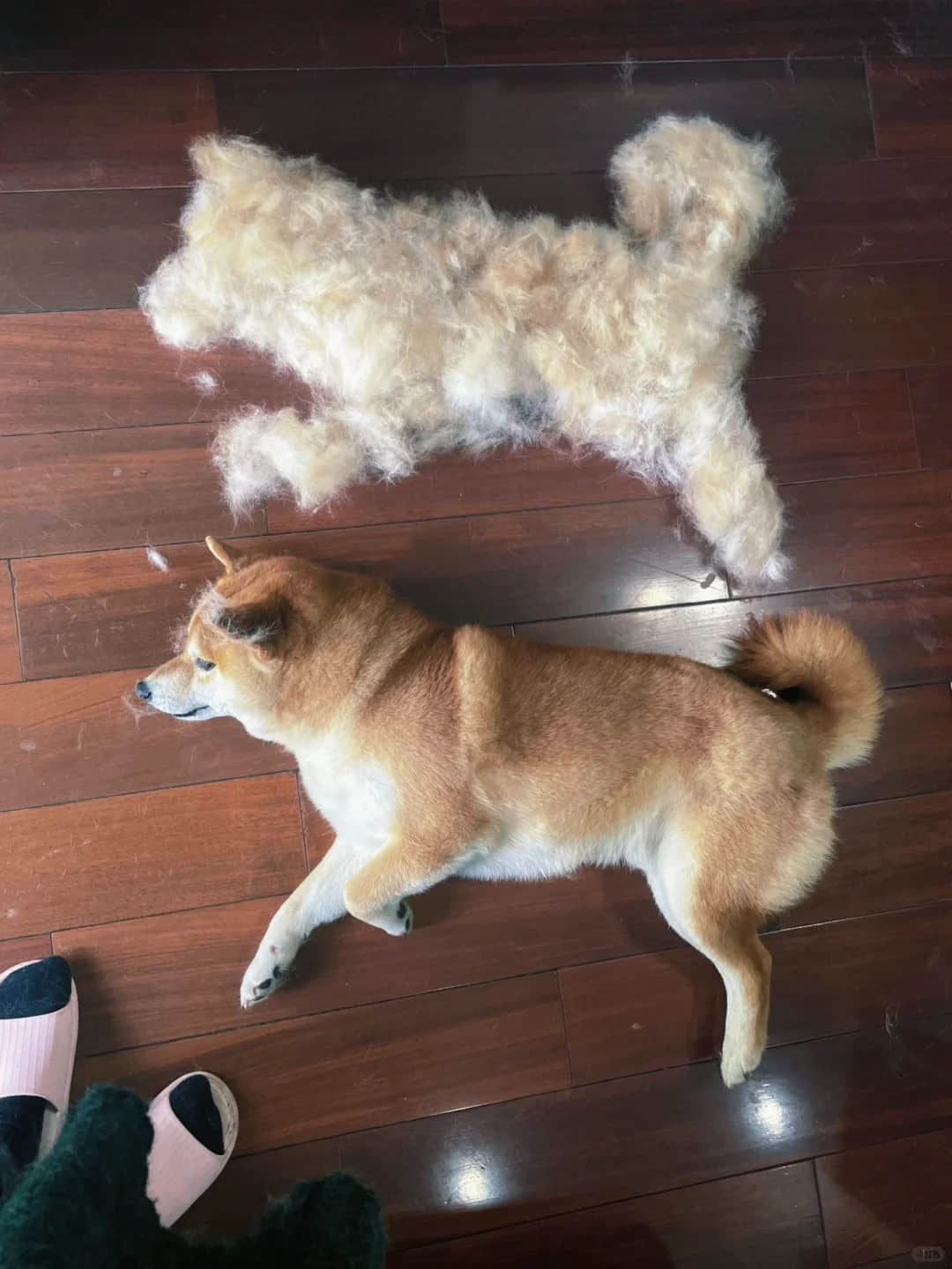 Self-Cleaning Pet Hair Roller | Auto-Lock & Reusable