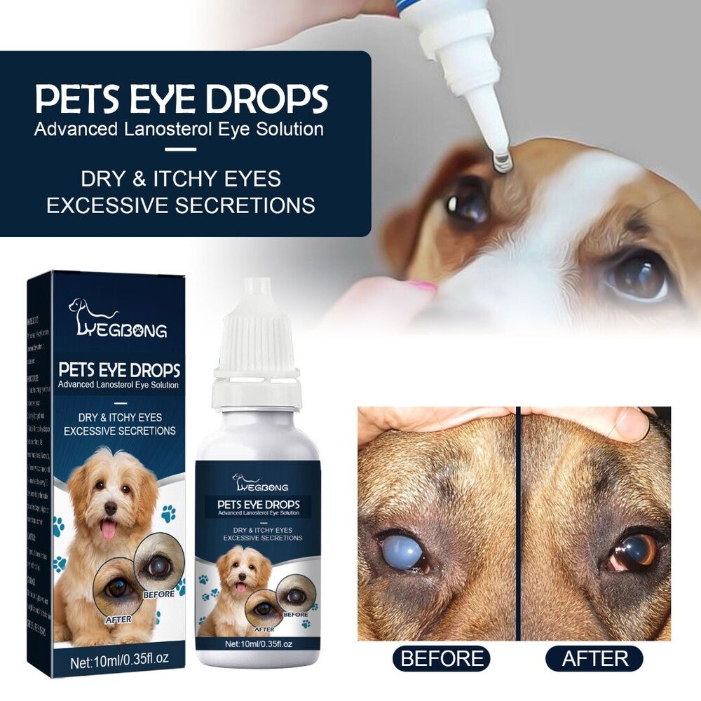 Cloudy Eyes Best Dog Eye Drops For Cataracts Pet Eye Drops For Dog Cats  Lanosterol Solution