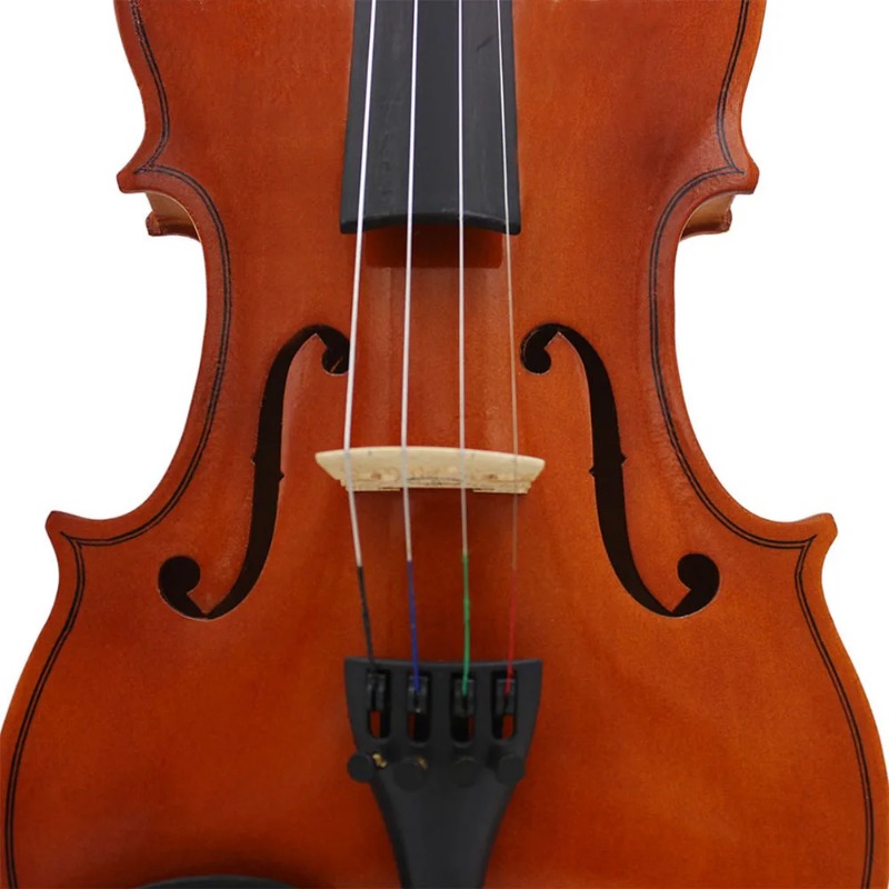Professional 4/4 Violin Kit with Basswood Body and Ebony Fingerboard