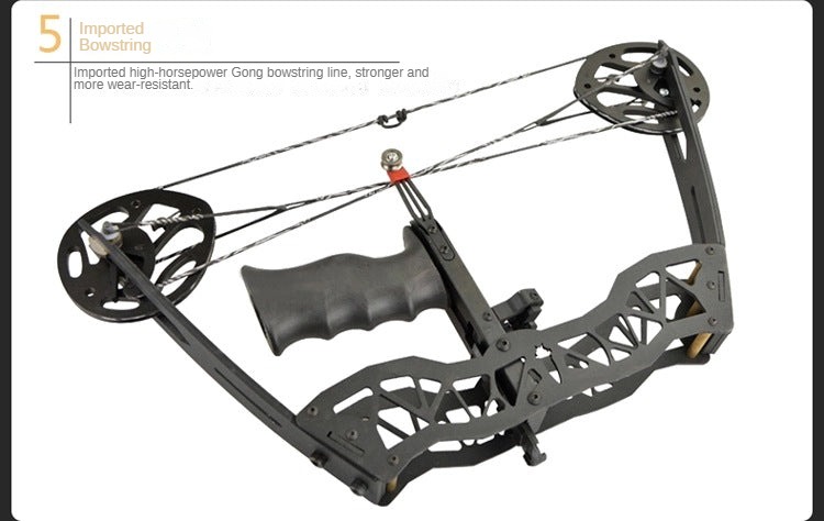 Black hauk mini compound bow from AAA Archery and armor