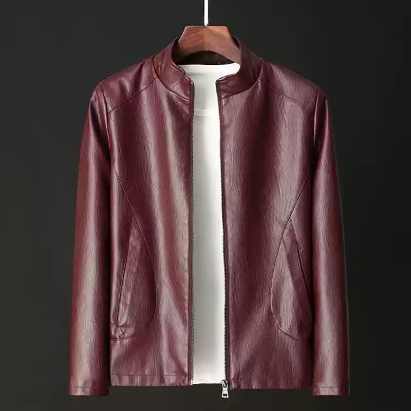 Men's Leather Jacket With Stand-up Collar And Fleece Lining_voghion.com