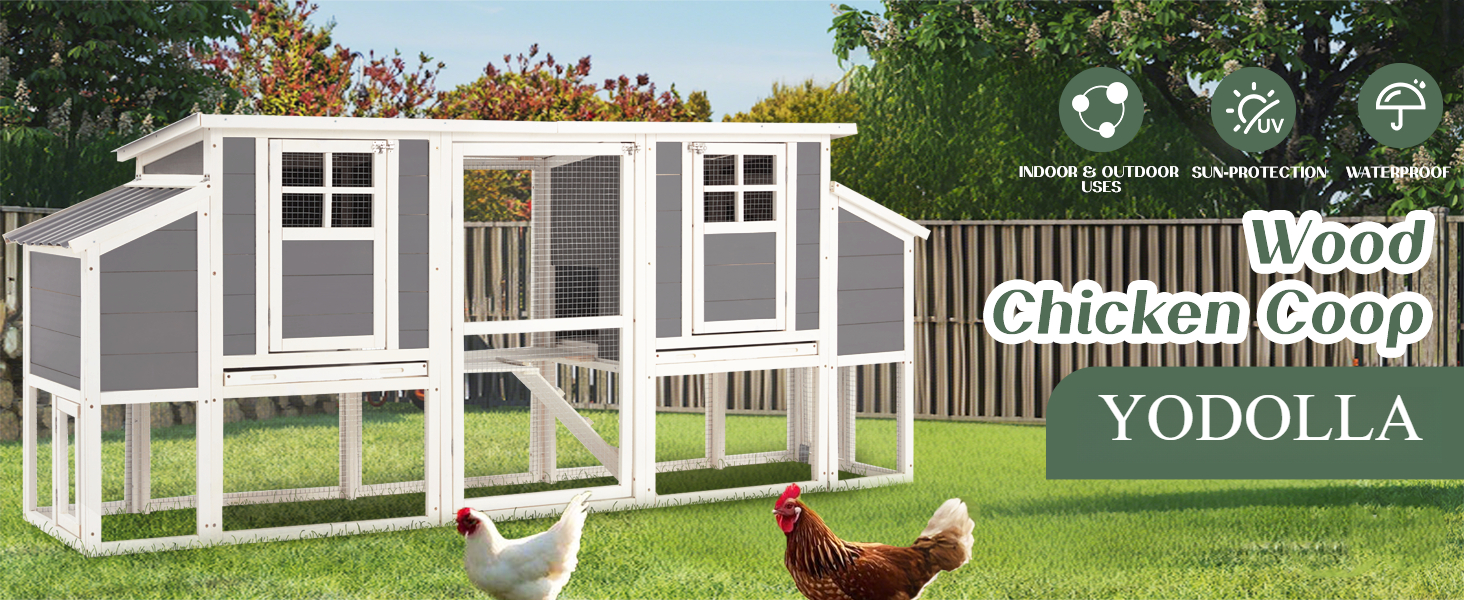 Chicken Coop