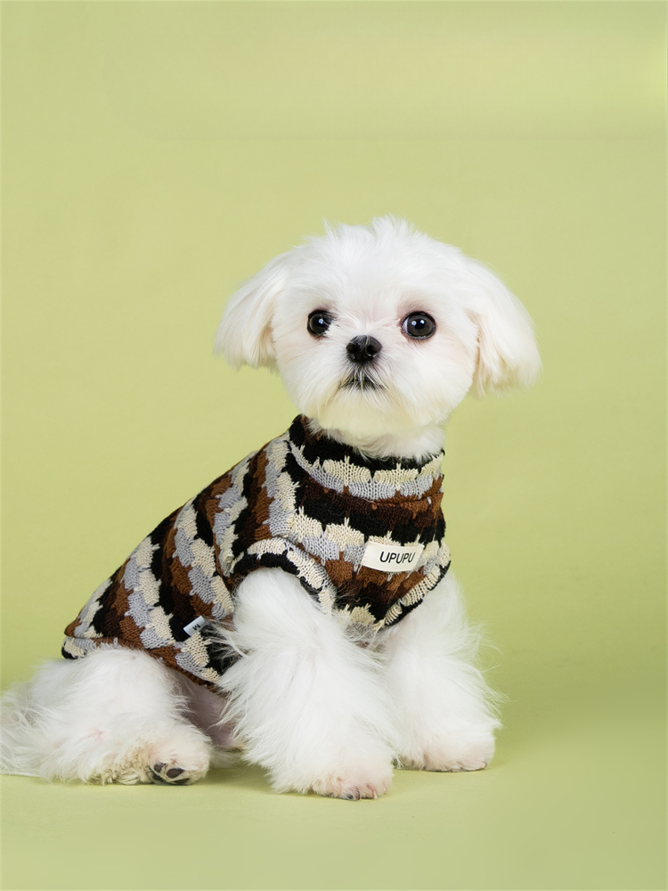 Soft market sweater vest for dog - Comfortable and stylish design