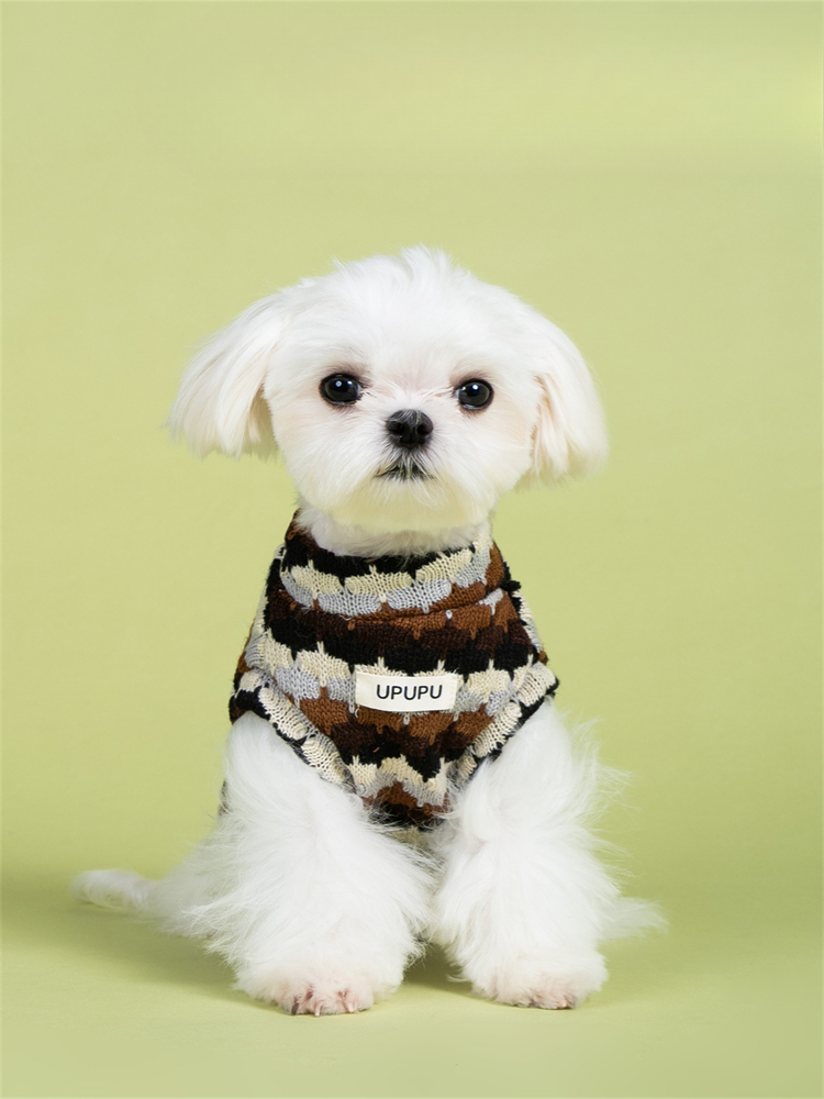 Soft market sweater vest for dog - Cozy and warm for cold days