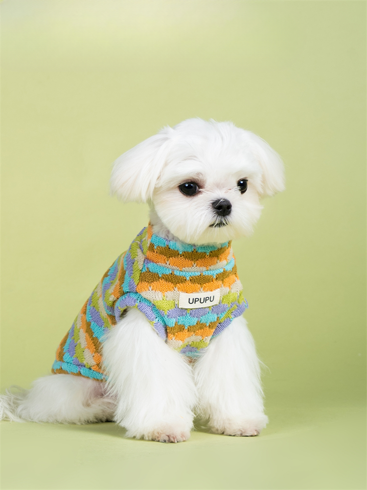 Soft market sweater vest for dog - Easy to put on and take off