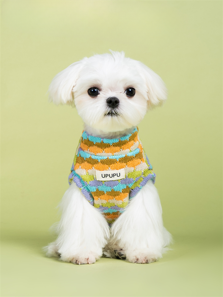 Soft market sweater vest for dog - Durable and breathable fabric