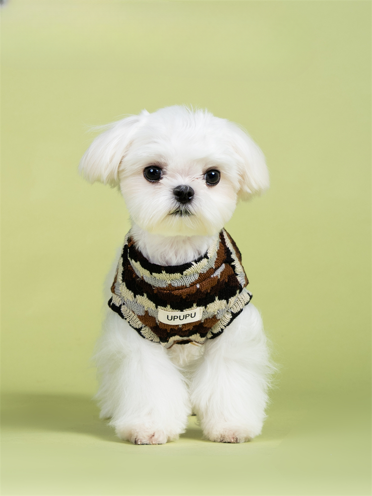 Soft market sweater vest for dog - Perfect fit for small to medium-sized dogs