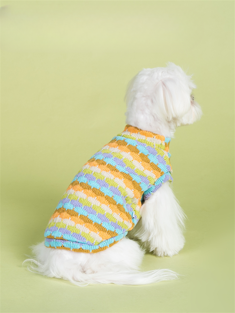 Soft market sweater vest for dog - Ideal for all seasons