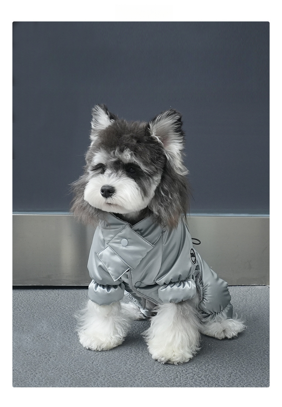 Warm comfortable fashionable dog down jacket - Premium material and design