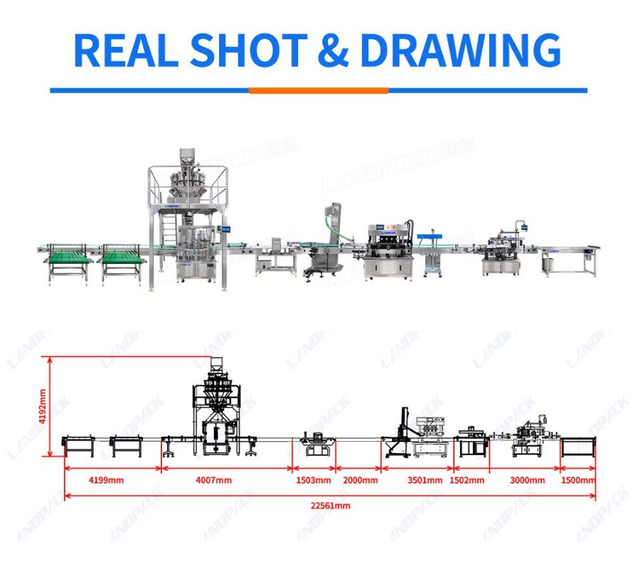 Automatic Rotary Granule Square Bottles Weighing Filling Capping and Labeling Machine Lines