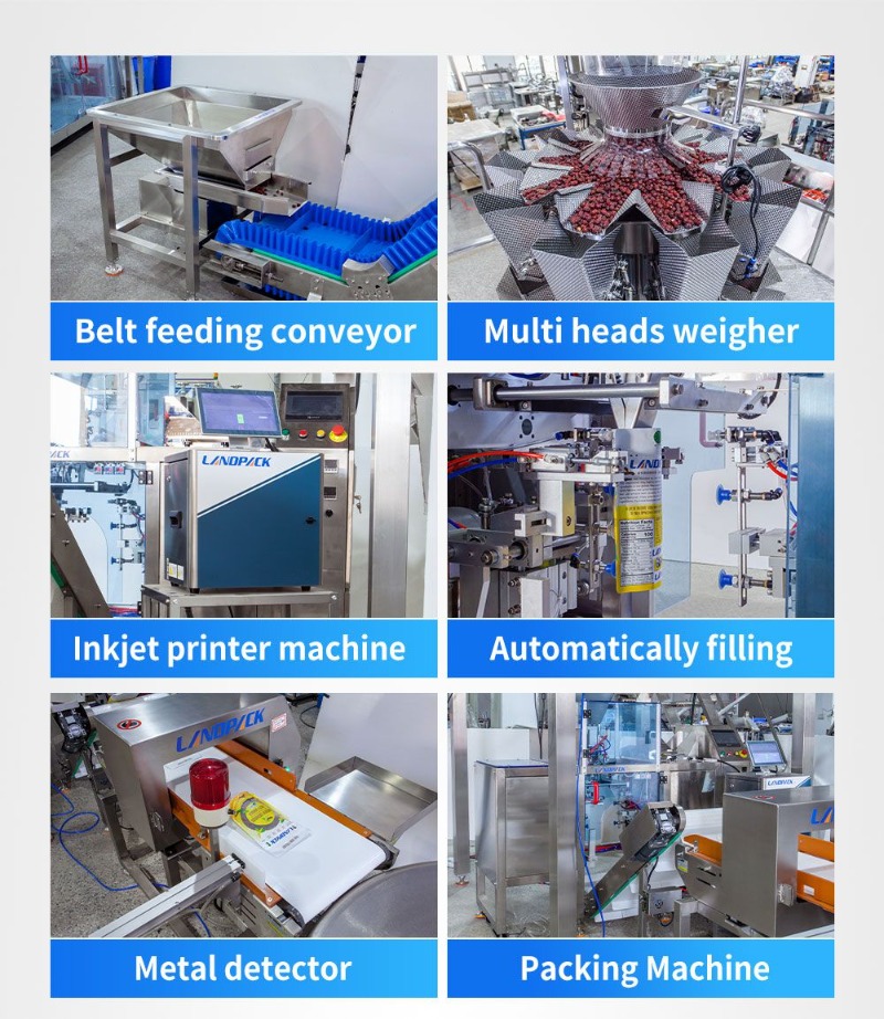 Mini Doypack Machine Date Dry Fruit Premade Standup Pouch Packing Machine