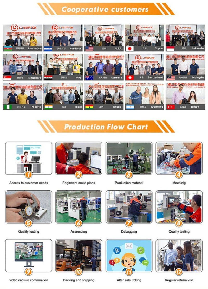 Landpack Granule Zipper Pouch Doypack Sealing Packaging Packing Machine with Skirt Lifter