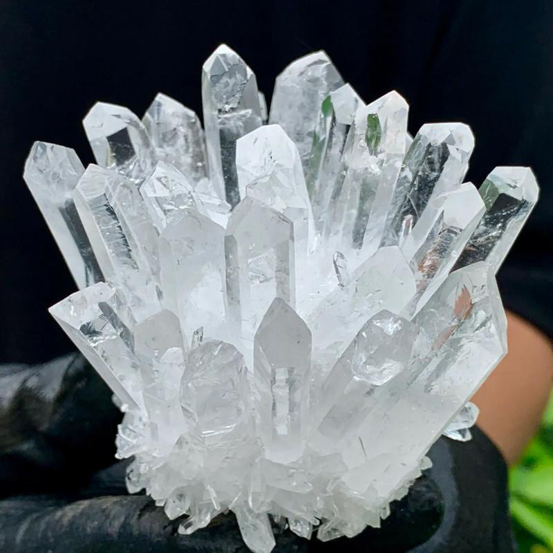 Raw Clear Quartz Crystal Cluster - 18 | New Moon Beginnings