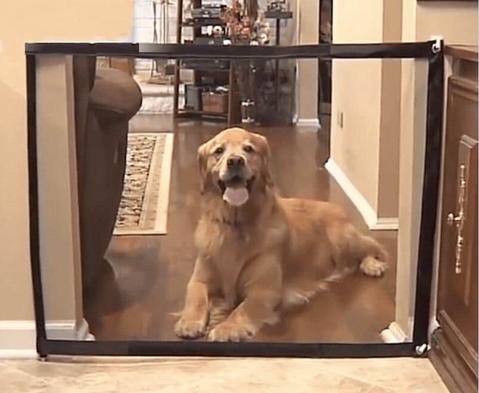 Ingenious Mesh Fence Pets Safety Door Guard i Sweet Happiness