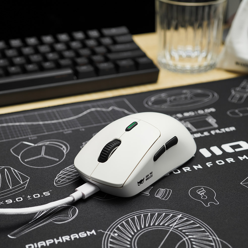 WAIZOWL OGM Pro Mouse