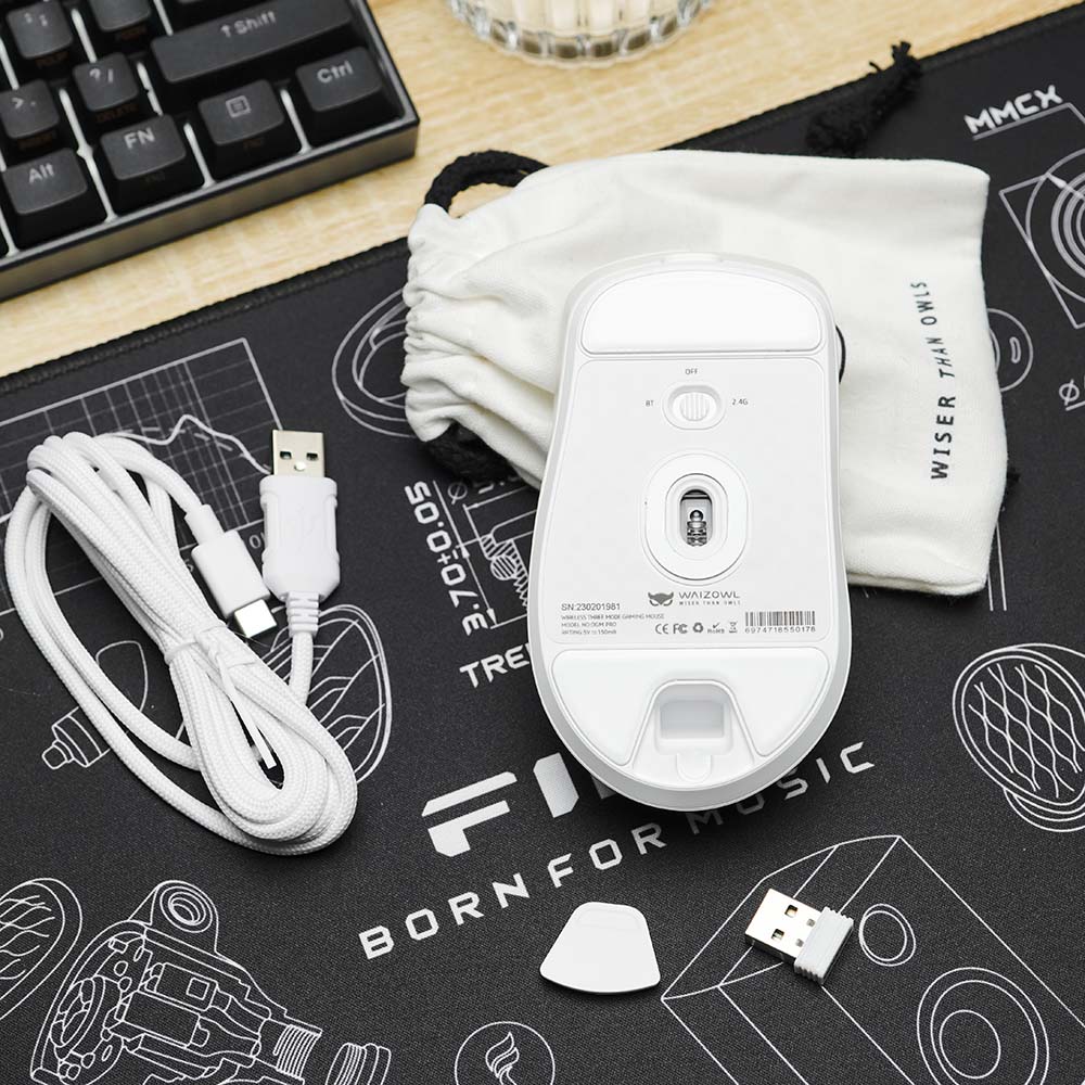 WAIZOWL OGM Pro Mouse