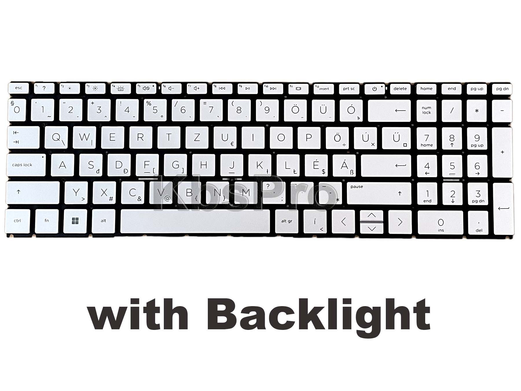 Backlit Hungarian Keyboard for HP 250 G10, 255 G10 Magyar Silver