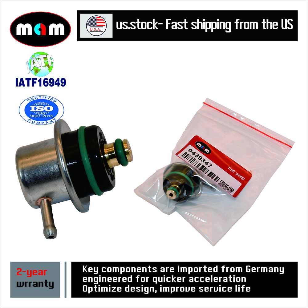 ⑤シーマ Amazon.com: Electric Fuel Pump Assembly Replacement for