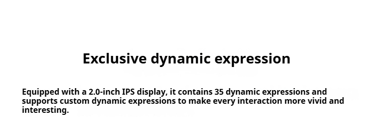 Dynamic Image