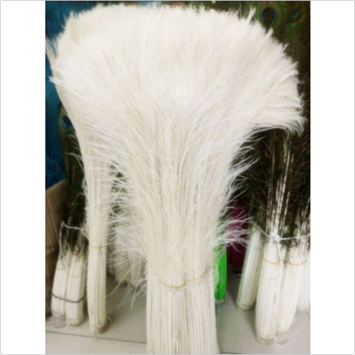 Wholesale 10 50 100 0pcs Real White Peacock Tail Feathers About 10 36inches Ebay