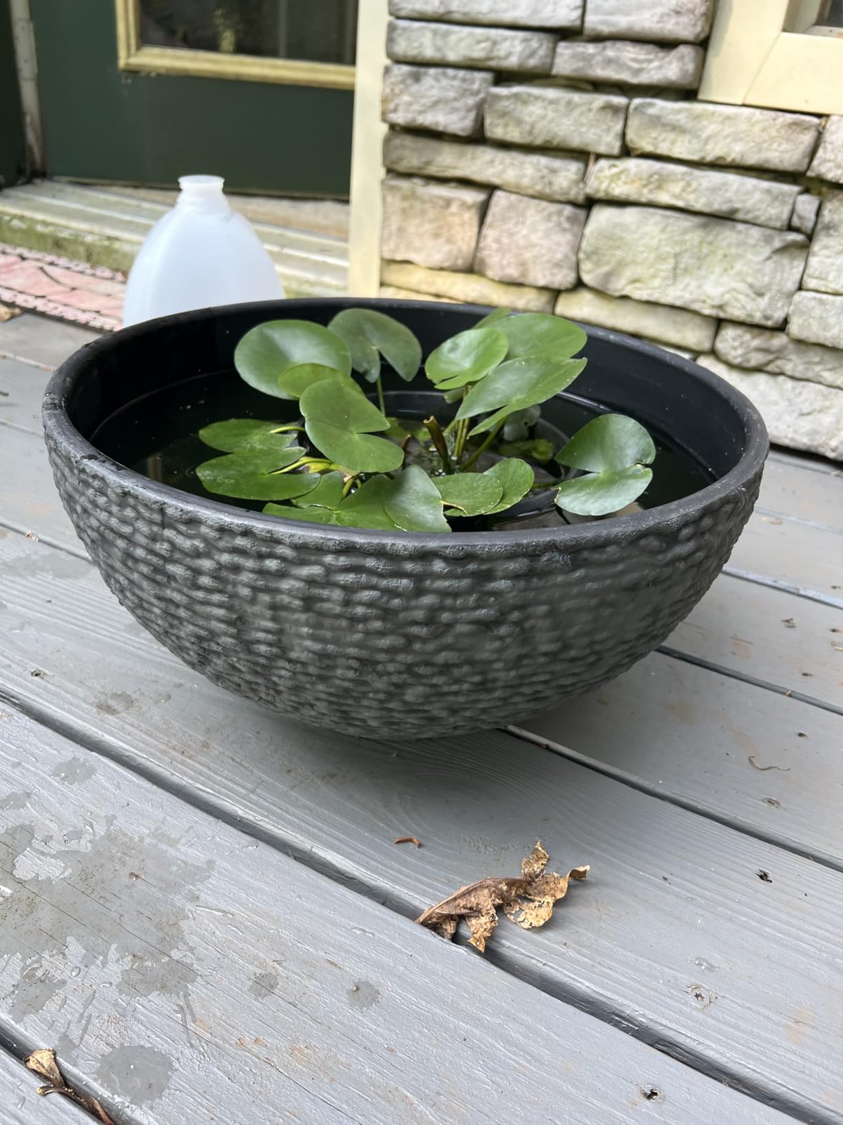 Sungmor Large Garden Bowl Planter Water Plant Pot, Fountain Sungmor Large Garden Bowl Planter Water Plant Pot, Fountain