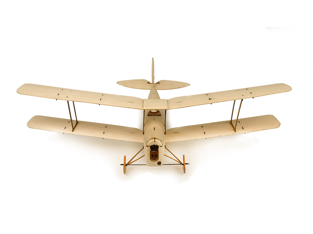 s19 mini tiger moth