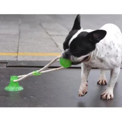 TugToy™ - Primal Suction Tug Toy – Silly Doggo