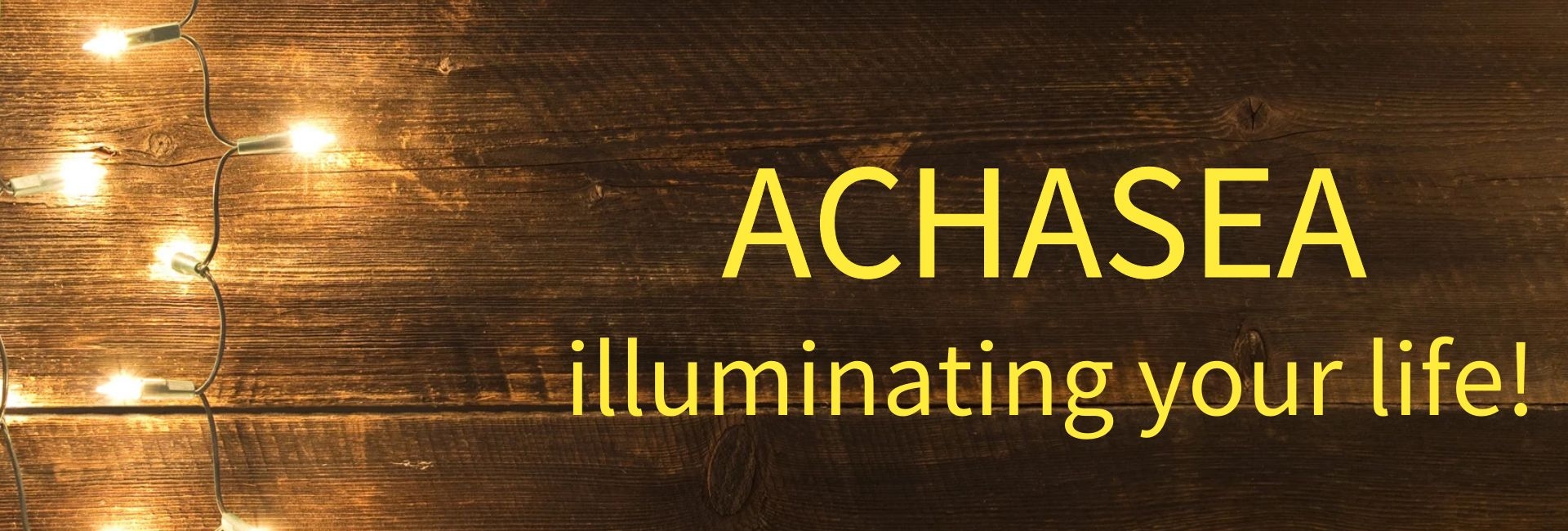 LED Flag Net Lights American Flag Light For Festival Indoor/ Outdoor